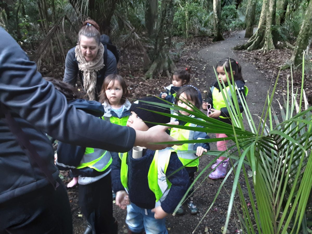 Natures Point Childcare Papakura