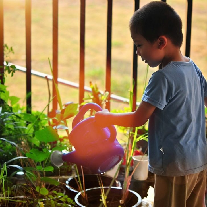 Childcare Papakura - Natures Point