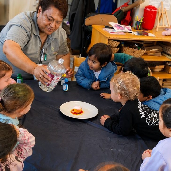 daycare-papakura daycare-papakura